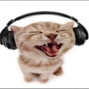 Meet your Posher, Layla